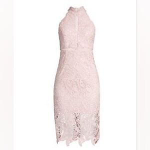 Bardot Willow Floral Lace Dress In Soft Pink / size 10